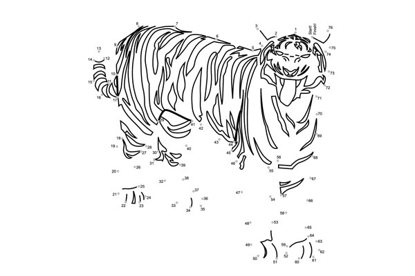 Tiger 01