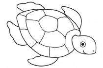 Sköldpadda 18