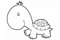 Sköldpadda 19