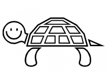 Sköldpadda 25