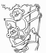 Två apor i lianer