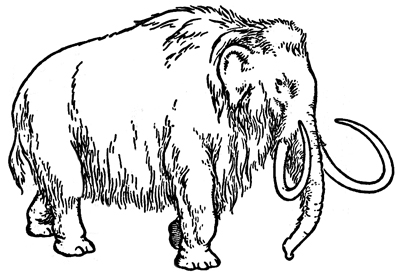 Wooly Mammoth Coloring Page Drawing Sketch Coloring Page