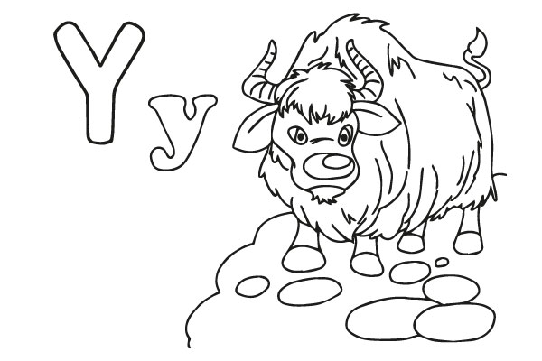 Yak